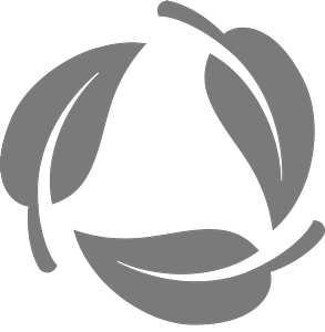 Social Business